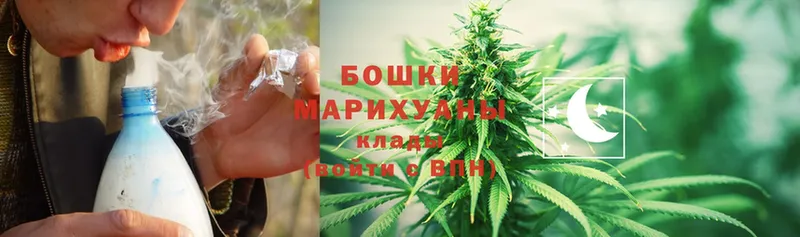 Бошки марихуана LSD WEED  продажа наркотиков  Онега 